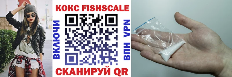Купить закладки  Адыгейск  Кокаин Fish Scale 