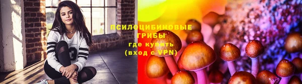 ПСИЛОЦИБИНОВЫЕ ГРИБЫ Верхний Тагил