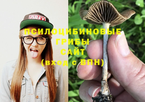 ECSTASY Верея