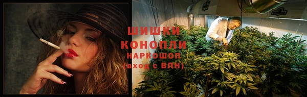 ПСИЛОЦИБИНОВЫЕ ГРИБЫ Верхний Тагил